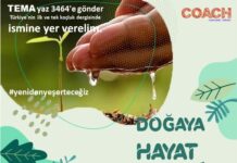 Yeniden Yeşerteceğiz!