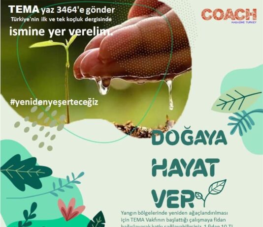 Yeniden Yeşerteceğiz!